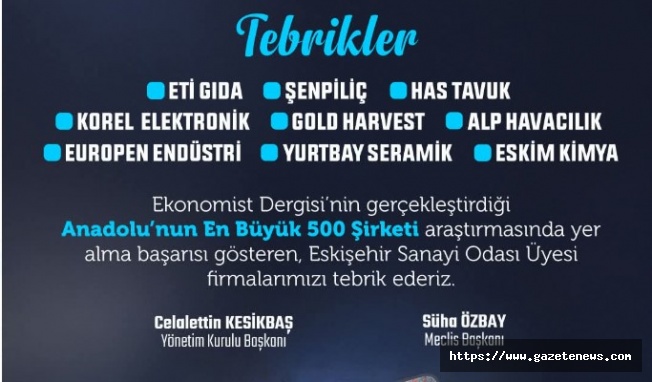 İşte Eskişehir'in en büyük firmaları