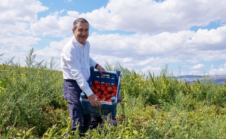 Ataç tarım alanlarını ziyaret ediyor