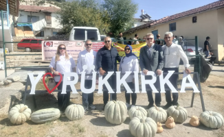 Burada kabak bir başka güzel!