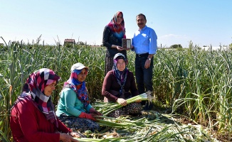 Kalkınma kırsaldan başlayacak